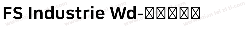 FS Industrie Wd字体转换